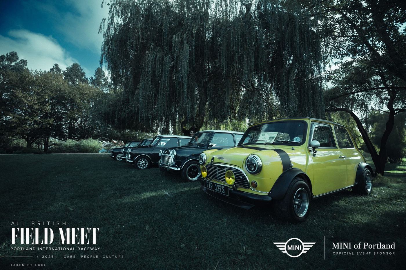 Classic Minis under a willow tree